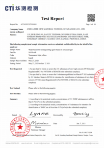 安全检测报告英文版 01